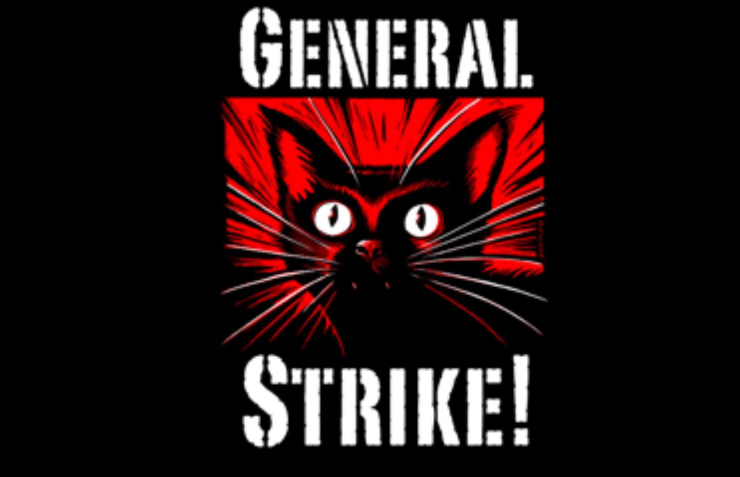 what-is-a-general-strike-citizens-press